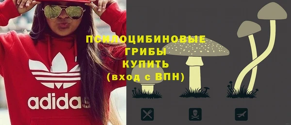 метадон Лагань
