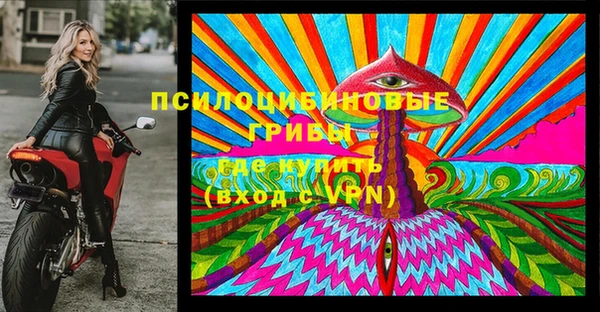 метадон Лагань