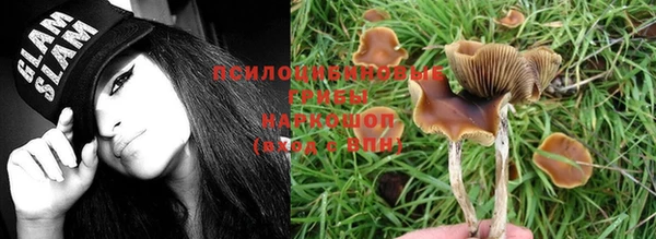 метадон Лагань