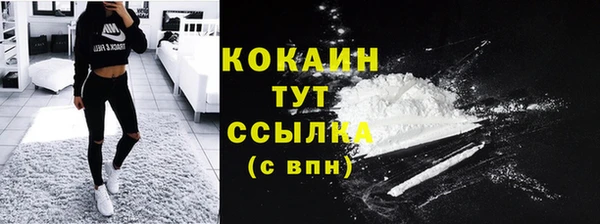 метадон Лагань