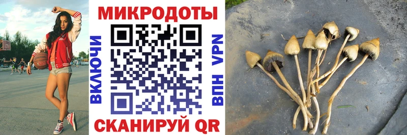 Псилоцибиновые грибы ЛСД  где продают наркотики  Эртиль 
